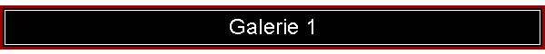 Galerie 1